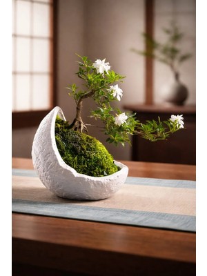 Yaratıcı Sanatlar Atölyesi Bonsai Saksısı Taş Dokulu Hilal Tasarım Saksı Vazo Özel Tasarım El Yapımı Dekoratif Saksı