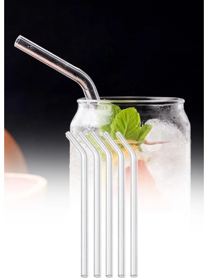 Omilife Cam Pipet Seti 5 Adet Isıya Dayanıklı Termosilikat Bardak Pipeti Temizleme Fırçalı Set