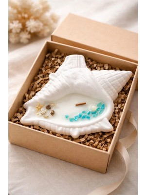 Yaratıcı Sanatlar Atölyesi Deniz Kabuğu Içinde Okyanus Temalı Kokulu Aromaterapi Mum Dekoratif El Yapımı Tasarım Mum