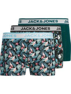 Jack & Jones Bird Leaves Erkek 3'lü Boxer (12291168-BDT)