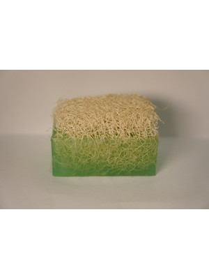 Pazarcan Doğal Çay Ağacı Sabunu - 160 gr Yenileyici Temizlik