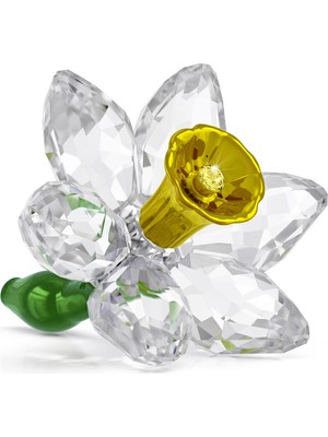 5721540 Swarovski Ev Dekorasyonu Florere:daffodıl