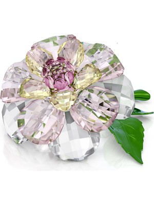 5721538 Swarovski Ev Dekorasyonu Florere:camellıa