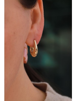 Aydın Kuyumculuk 14 Ayar Altın,burgu U Küpe AGKP642