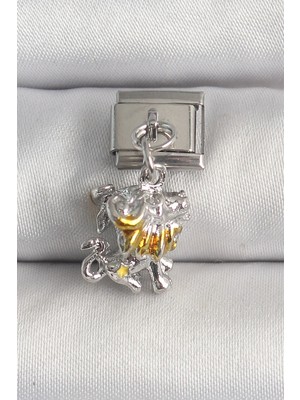 DS LLC Ietaks™ 316L Çelik Gümüş Renk Sallantı Aslan Model Nomination Charm