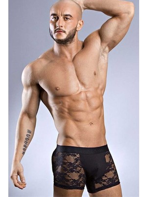 Doreanse Siyah Erkek Boxer 1952