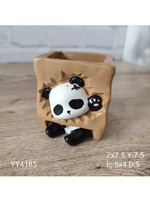 Yoyomold YY4185 Pandalı Kutu Saksı
