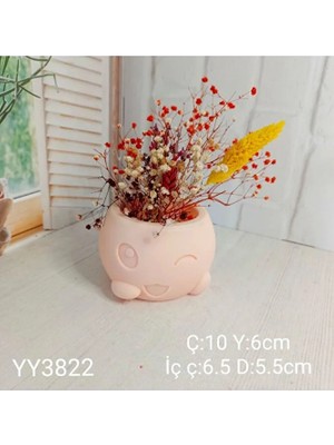 Yoyomold YY3822 - Sevimli Göz Kirpan Sukulent Salsilar - Silikon Kalip,