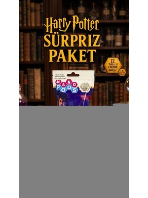 Renklime Harry Potter Temalı Koleksiyonluk Sürpriz Figür Seti 2'li Paket