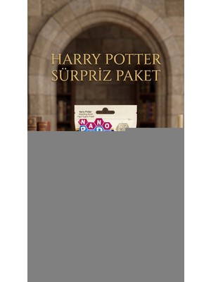 Renklime Harry Potter Koleksiyon Sürpriz Figür Oyuncak Seti