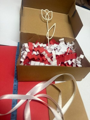 Muray Tekno Laleli Beyaz Kurdeleli Hediye Kutusu Seti – Dekoratif Çiçekli Hediye Paketi