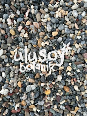 Ulusoy Botanik Dekoratif Çakıl Taşı / Renkli Dekoratif Taş / Bahçe, Saksı, Akvaryum, Teraryum Dekor / 1-2 cm / (5 Kg)