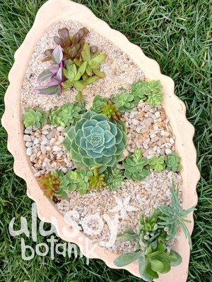 Ulusoy Botanik Dekoratif Kuvars Taşı / Akvaryum Taşı / Sukulent Dekor / Dekoratif Kuvarsit Taş 5-8mm (1 Kg)