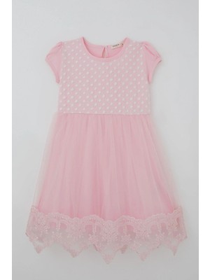 Breeze Kız Çocuk Elbise Vintage Dantel Detaylı Tüllü Çiçek Desenli Elbise 4-9 Yaş, Pembe