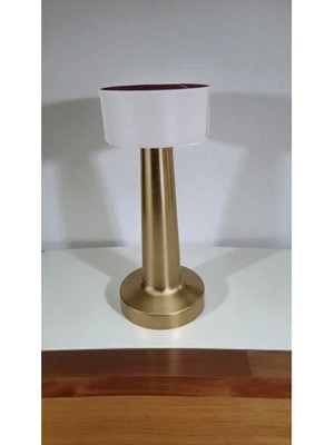 Famemus Accessory Dekoratif Silindir Masa Gece Lambası
