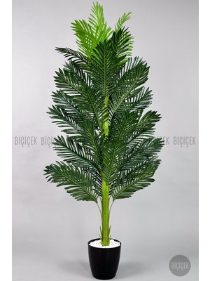 Biçiçek Yapay Areka Ağacı Tek Gövdeli 160 cm