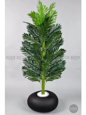 Biçiçek Yapay Areka Ağacı Tek Gövdeli 170CM Fiber Saksıda