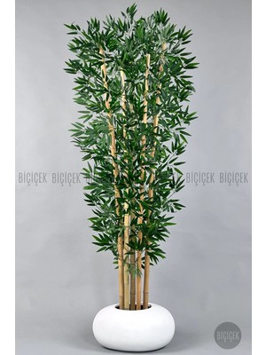 Biçiçek Zen Bambu Ağacı 220 cm Fiber Saksıda