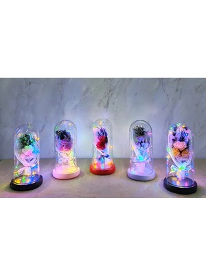 Pileli Store Pilelistore Işıklı Müzikli Romantik Gül Buketi