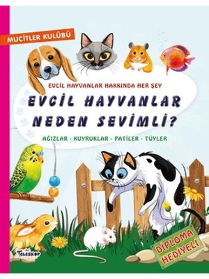 SHC4200 Evcil Hayvanlar Neden Sevimli?
