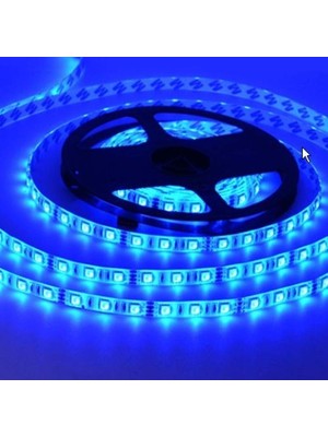 Fully Tek Çipli Iç Mekan Mavi Silikonsuz 12V Şerit LED 5mt (5 Adet)