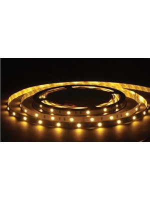 Fully Tek Çipli Iç Mekan Günışığı 3528 Silikonsuz 12V Şerit LED 5mt (5 Adet)
