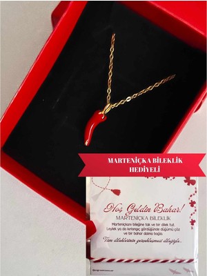 Pigna Aksesuar Çelik Kırmızı Biber Şans Kolyesi & Hediye Marteniçka Bileklik Seti – Şans ve Koruma Kombini