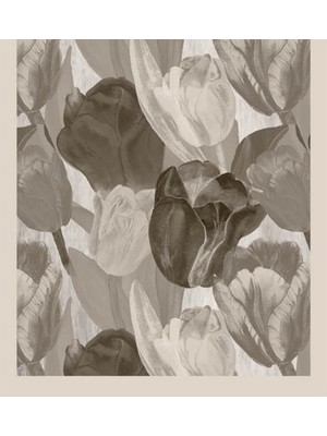 Şehr-i Şal Şehri Şal Bambu Kraş Şal 6198 Taş