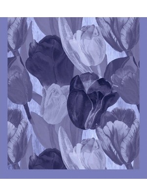 Şehr-i Şal Şehri Şal Bambu Kraş Şal 6198 Kot Mavi