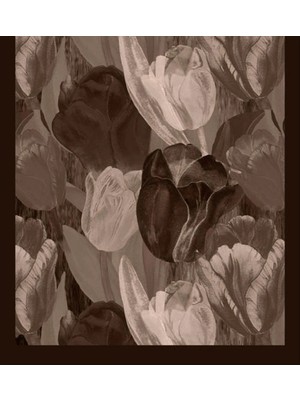 Şehr-i Şal Şehri Şal Bambu Kraş Şal 6198 Acı Kahve