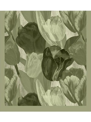 Şehr-i Şal Şehri Şal Bambu Kraş Şal 6198 Yeşil