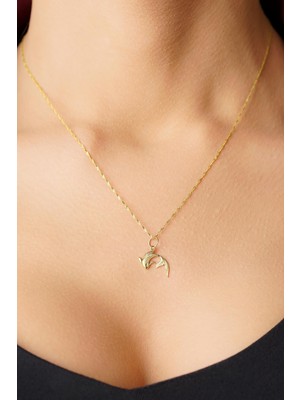 Fiyonk Kuyumculuk 14 Ayar Altın Koi Balığı Singapur Zincir Kolye