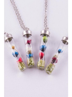 Kocadal Çuvuk Mantar Tıpalı Fanus Canlı Kolye