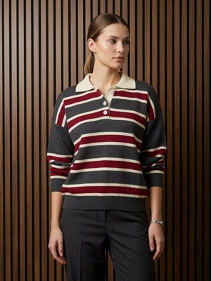 Polo Yaka Antrasit Beyaz Bordo