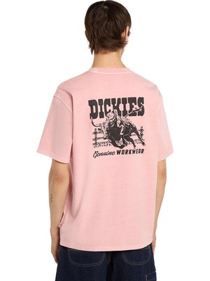 Dickies Buchtell Ss Tee T-Shirt - DK0A883BL471
