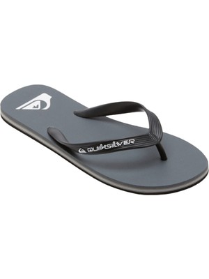 Quiksilver Erkek Terlik Molokai Core Gri Ayakkabı