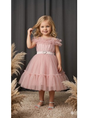 Ayyılmaz Kız Çocuk Pürpür Abiye Elbise Ekstra Tül Detaylı Beli Lastikli Pudra