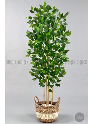Biçiçek 140 cm Yapay Benjamin Ağacı Hasır Saksıda