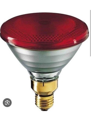 General Electric General Elektrik PAR38 80 Watt  Akkor Flemanlı E27 Duy 220V Isıtıcı,havuz,spot, Infrared Çok Amaçlı Normal Ampul