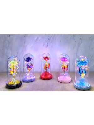 My Best Store Işıklı Müzikli Romantik Kelebekli Fanus Içinde Gül