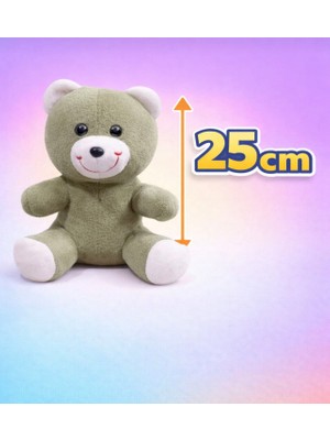 Black 25 cm Peluş Ayıcık