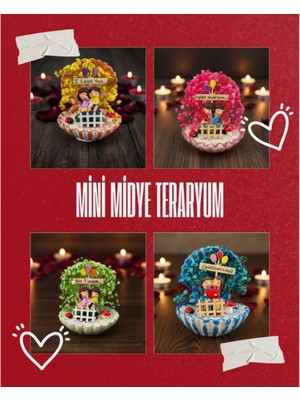 Cm Store Mini Midye Teraryum - Özel Gün Hediyesi