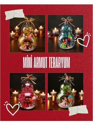 Cm Store Mini Armut Teraryum - Özel Gün Hediyesi