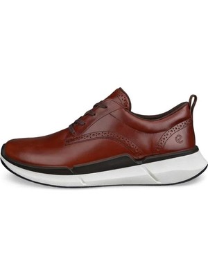 Ecco Biom 2.2