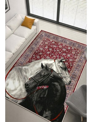Lioara Home Art Desing Modern Dijital Baskılı Halı – Modern, Kaymaz Taban, Salon & Oturma Odası Için Halı