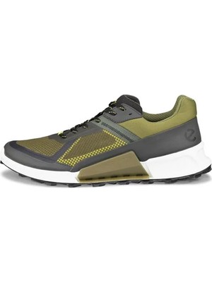 Ecco Biom 2.1 x Mountain
