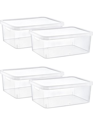 Hepta Collection 4' Stafi - , , -- ,