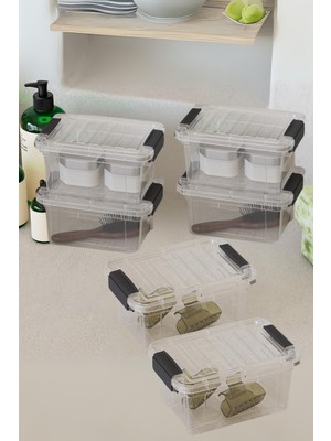 Hepta Collection 6’ & Düzenleme 1,