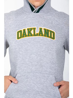 Dynamo Erkek Grimelanj Kapüşonlu Kanguru Cepli Içi Şardonlu  Pamuklu Sweatshirt 6756