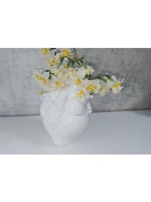 Elbu Collection Anatomik Kalp Biblo Beyaz